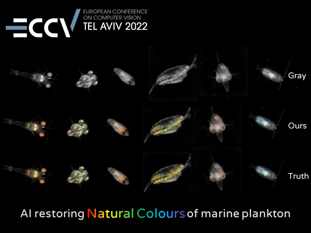 Colorization for in situ Marine Plankton Images